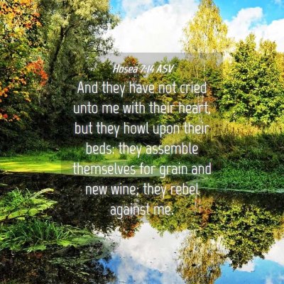 Picture 04 - Hosea 7:14 ASV - And they have not cried unto me with their heart, - Bible Verse Picture