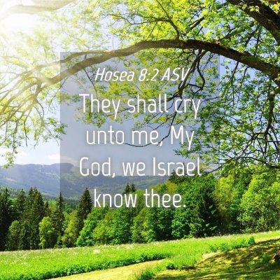 Picture 04 - Hosea 8:2 ASV - They shall cry unto me, My God, we Israel know - Bible Verse Picture
