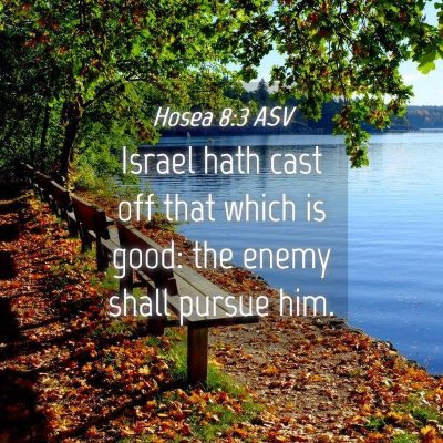 Picture 04 - Hosea 8:3 ASV - Israel hath cast off that which is good: the - Bible Verse Picture