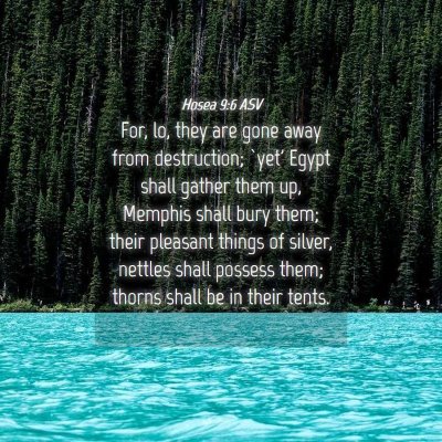 Picture 04 - Hosea 9:6 ASV - For, lo, they are gone away from destruction; - Bible Verse Picture