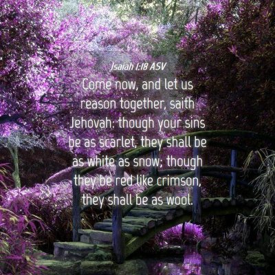 Picture 04 - Isaiah 1:18 ASV - Come now, and let us reason together, saith - Bible Verse Picture