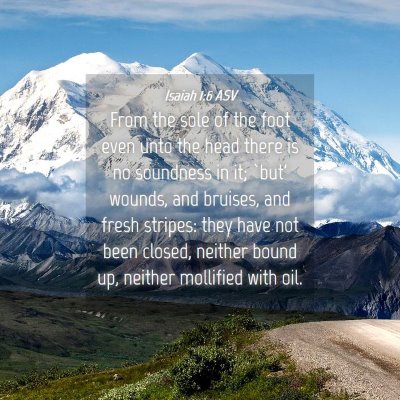 Picture 04 - Isaiah 1:6 ASV - From the sole of the foot even unto the head - Bible Verse Picture