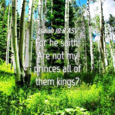 Picture 04 - Isaiah 10:8 ASV - For he saith, Are not my princes all of them - Bible Verse Picture