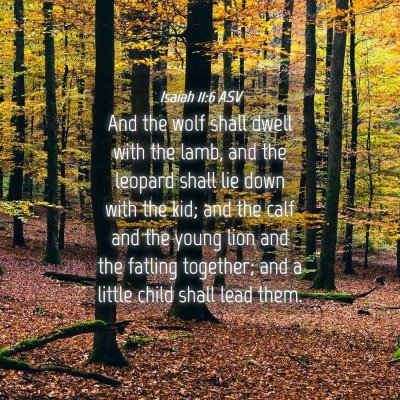 Picture 04 - Isaiah 11:6 ASV - And the wolf shall dwell with the lamb, and the - Bible Verse Picture
