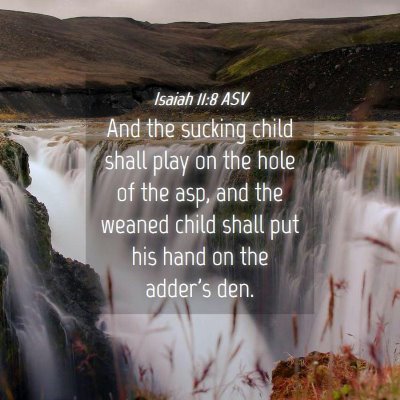 Picture 04 - Isaiah 11:8 ASV - And the sucking child shall play on the hole of - Bible Verse Picture