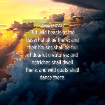 Picture 04 - Isaiah 13:21 ASV - But wild beasts of the desert shall lie there; - Bible Verse Picture