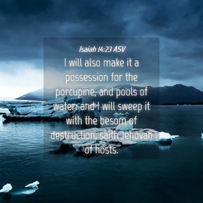 Picture 04 - Isaiah 14:23 ASV - I will also make it a possession for the - Bible Verse Picture