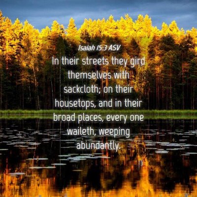 Picture 04 - Isaiah 15:3 ASV - In their streets they gird themselves with - Bible Verse Picture