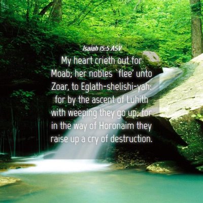 Picture 04 - Isaiah 15:5 ASV - My heart crieth out for Moab; her nobles `flee' - Bible Verse Picture
