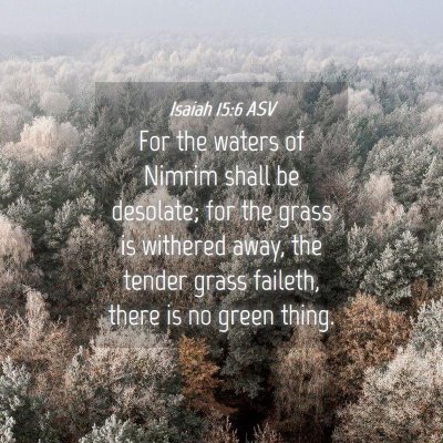 Picture 04 - Isaiah 15:6 ASV - For the waters of Nimrim shall be desolate; for - Bible Verse Picture