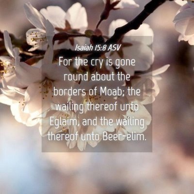 Picture 04 - Isaiah 15:8 ASV - For the cry is gone round about the borders of - Bible Verse Picture