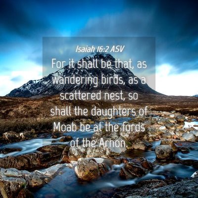 Picture 04 - Isaiah 16:2 ASV - For it shall be that, as wandering birds, as a - Bible Verse Picture