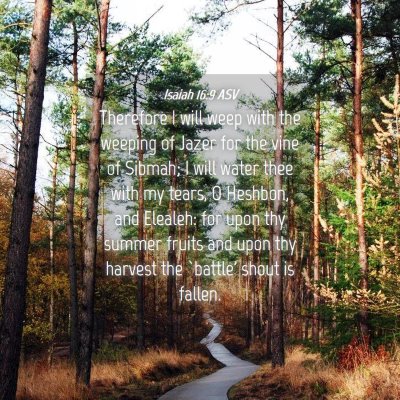 Picture 04 - Isaiah 16:9 ASV - Therefore I will weep with the weeping of Jazer - Bible Verse Picture