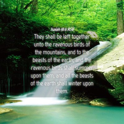 Picture 04 - Isaiah 18:6 ASV - They shall be left together unto the ravenous - Bible Verse Picture