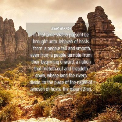 Picture 04 - Isaiah 18:7 ASV - In that time shall a present be brought unto - Bible Verse Picture