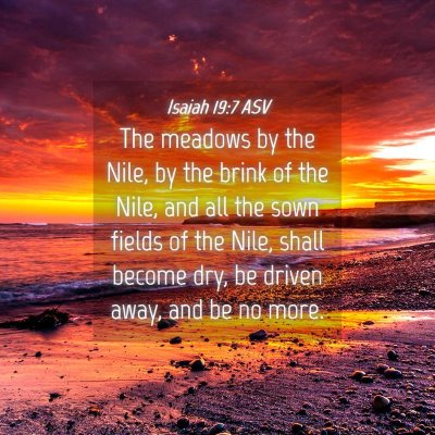 Picture 04 - Isaiah 19:7 ASV - The meadows by the Nile, by the brink of the - Bible Verse Picture