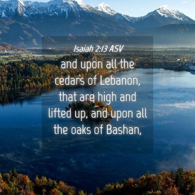Picture 04 - Isaiah 2:13 ASV - and upon all the cedars of Lebanon, that are high - Bible Verse Picture