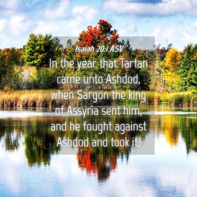 Picture 04 - Isaiah 20:1 ASV - In the year that Tartan came unto Ashdod, when - Bible Verse Picture