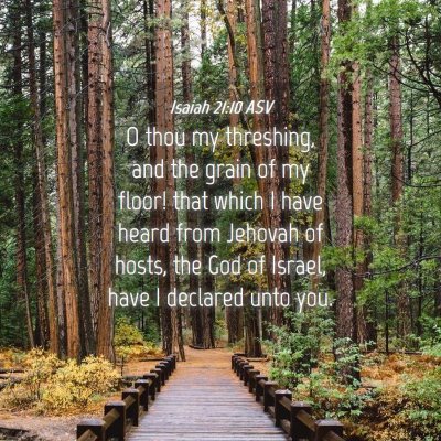 Picture 04 - Isaiah 21:10 ASV - O thou my threshing, and the grain of my floor! - Bible Verse Picture