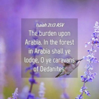 Picture 04 - Isaiah 21:13 ASV - The burden upon Arabia. In the forest in Arabia - Bible Verse Picture