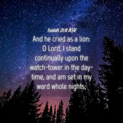 Picture 04 - Isaiah 21:8 ASV - And he cried as a lion: O Lord, I stand - Bible Verse Picture
