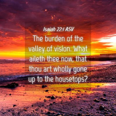 Picture 04 - Isaiah 22:1 ASV - The burden of the valley of vision. What aileth - Bible Verse Picture