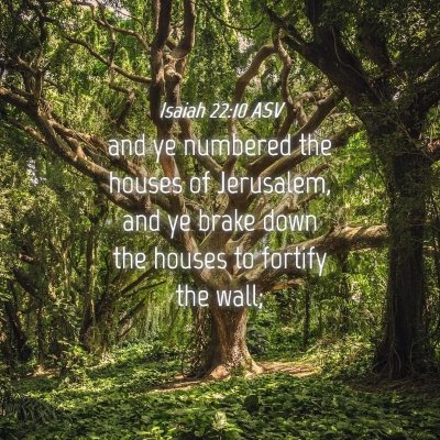 Picture 04 - Isaiah 22:10 ASV - and ye numbered the houses of Jerusalem, and ye - Bible Verse Picture