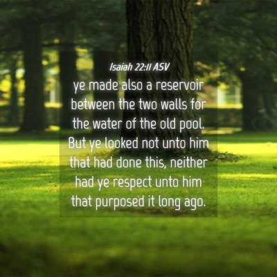 Picture 04 - Isaiah 22:11 ASV - ye made also a reservoir between the two walls - Bible Verse Picture