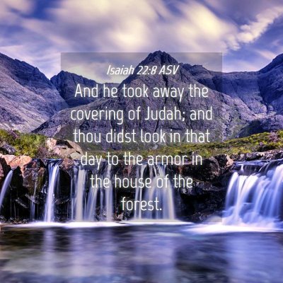 Picture 04 - Isaiah 22:8 ASV - And he took away the covering of Judah; and thou - Bible Verse Picture