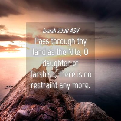 Picture 04 - Isaiah 23:10 ASV - Pass through thy land as the Nile, O daughter of - Bible Verse Picture