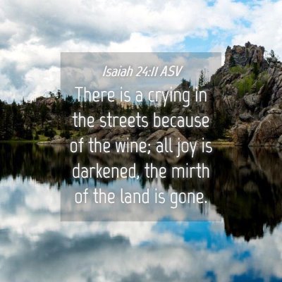 Picture 04 - Isaiah 24:11 ASV - There is a crying in the streets because of the - Bible Verse Picture