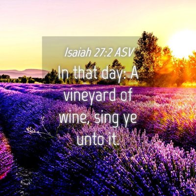 Picture 04 - Isaiah 27:2 ASV - In that day: A vineyard of wine, sing ye unto - Bible Verse Picture