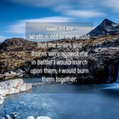 Picture 04 - Isaiah 27:4 ASV - Wrath is not in me: would that the briers and - Bible Verse Picture