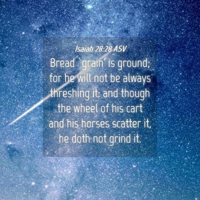 Picture 04 - Isaiah 28:28 ASV - Bread `grain' is ground; for he will not be - Bible Verse Picture