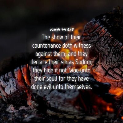 Picture 04 - Isaiah 3:9 ASV - The show of their countenance doth witness - Bible Verse Picture