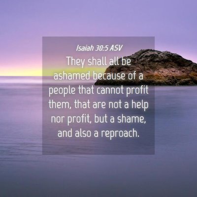 Picture 04 - Isaiah 30:5 ASV - They shall all be ashamed because of a people - Bible Verse Picture