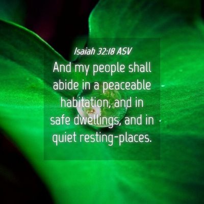 Picture 04 - Isaiah 32:18 ASV - And my people shall abide in a peaceable - Bible Verse Picture