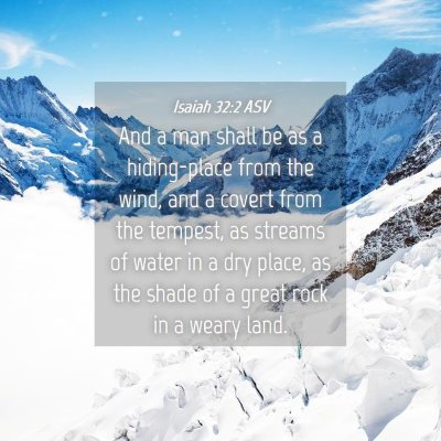 Picture 04 - Isaiah 32:2 ASV - And a man shall be as a hiding-place from the - Bible Verse Picture