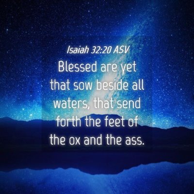 Picture 04 - Isaiah 32:20 ASV - Blessed are yet that sow beside all waters, that - Bible Verse Picture
