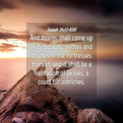 Picture 04 - Isaiah 34:13 ASV - And thorns shall come up in its palaces, nettles - Bible Verse Picture