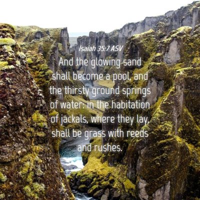 Picture 04 - Isaiah 35:7 ASV - And the glowing sand shall become a pool, and the - Bible Verse Picture