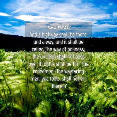 Picture 04 - Isaiah 35:8 ASV - And a highway shall be there, and a way, and it - Bible Verse Picture