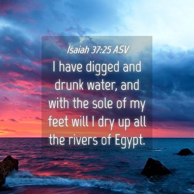 Picture 04 - Isaiah 37:25 ASV - I have digged and drunk water, and with the sole - Bible Verse Picture