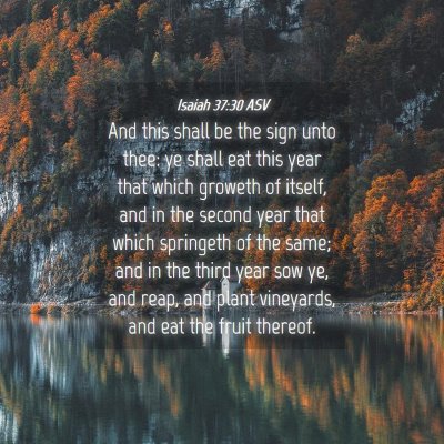 Picture 04 - Isaiah 37:30 ASV - And this shall be the sign unto thee: ye shall - Bible Verse Picture
