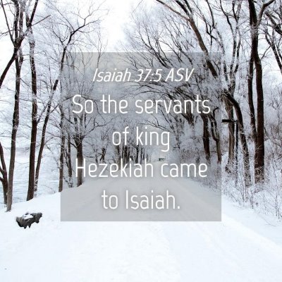 Picture 04 - Isaiah 37:5 ASV - So the servants of king Hezekiah came to - Bible Verse Picture