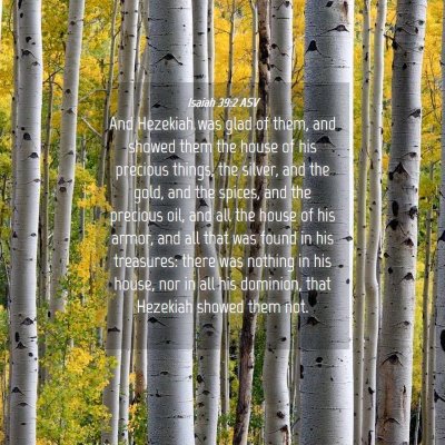 Picture 04 - Isaiah 39:2 ASV - And Hezekiah was glad of them, and showed them - Bible Verse Picture