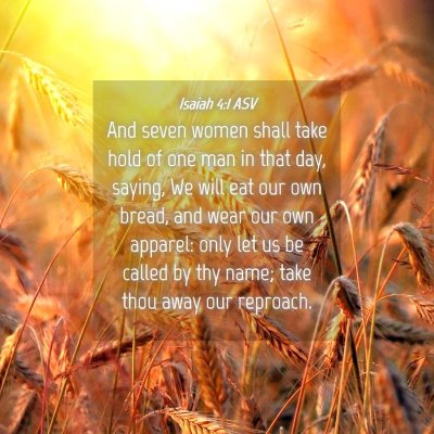 Picture 04 - Isaiah 4:1 ASV - And seven women shall take hold of one man in - Bible Verse Picture