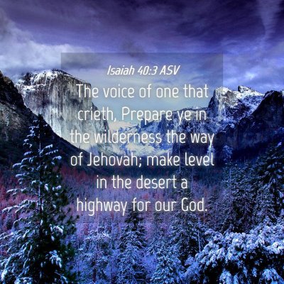 Picture 04 - Isaiah 40:3 ASV - The voice of one that crieth, Prepare ye in the - Bible Verse Picture