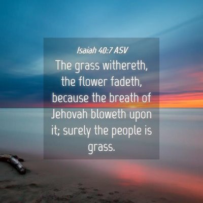Picture 04 - Isaiah 40:7 ASV - The grass withereth, the flower fadeth, because - Bible Verse Picture