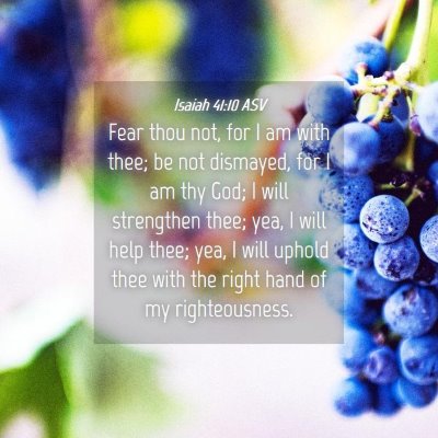 Picture 04 - Isaiah 41:10 ASV - Fear thou not, for I am with thee; be not - Bible Verse Picture